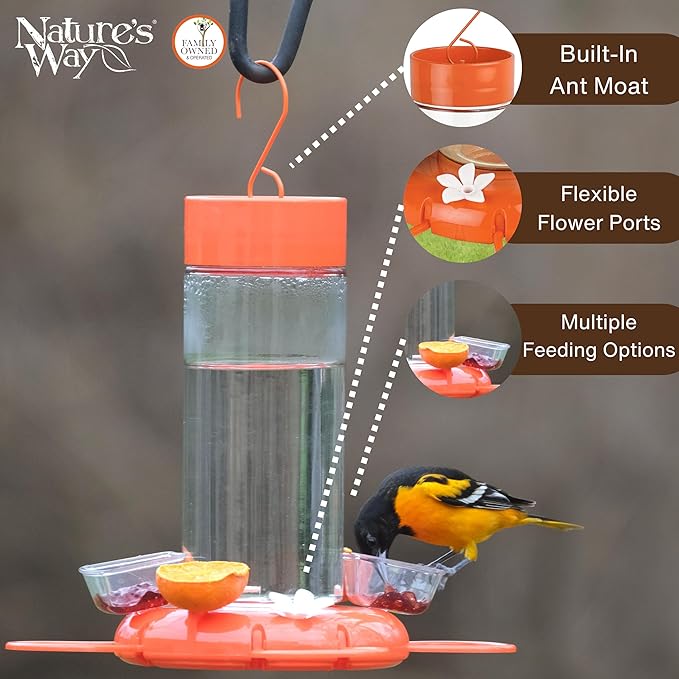Nature's Way Hanging Glass Oriole Feeder for Outdoor Décor, 30 Ounce Capacity Nectar Feeder, Jelly Dishes, Orange Fruit Holders, 4 Eash to Clean Flexible Ports, Ant Moat, Bee Guards, Orange