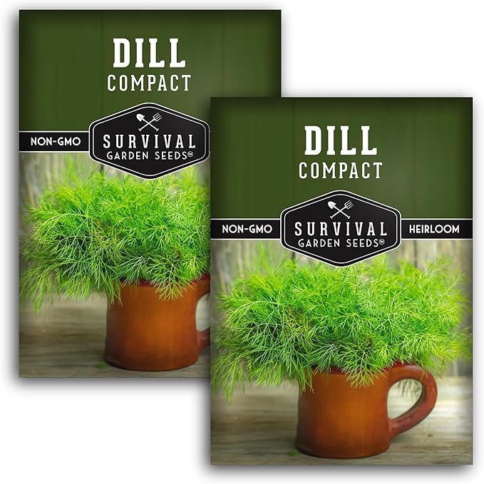 Compact Dill Seeds for Planting – Dwarf Dill for Containers & Small-Space Gardens – High Germination Heirloom Non-GMO Herb for Indoor or Outdoor Growing – Survival Garden Seeds (2 Packs)