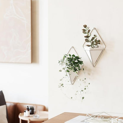 Umbra Trigg Small Wall Display, White-Nickel, Planter Pot, Indoor Outdoor Usage