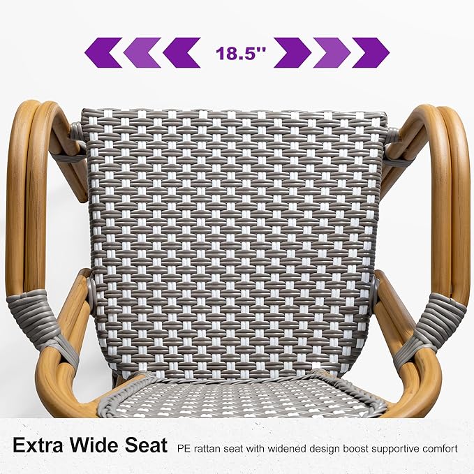 PURPLE LEAF French Bistro Chairs Set of 2 Aluminum Hand-Woven Rattan Wicker Dining Chairs with Arms for Outdoor Porch Garden Bamboo Print Finish Grey