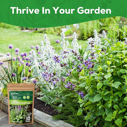 10 Herb Seeds Variety Pack - 7,000+ Heirloom Seeds - Basil, Cilantro, Lavender, Parsley, Dill, Thyme, Chives, Oregano, Sage, Herb Garden Kit for Planting Home Garden, Gardening Gift