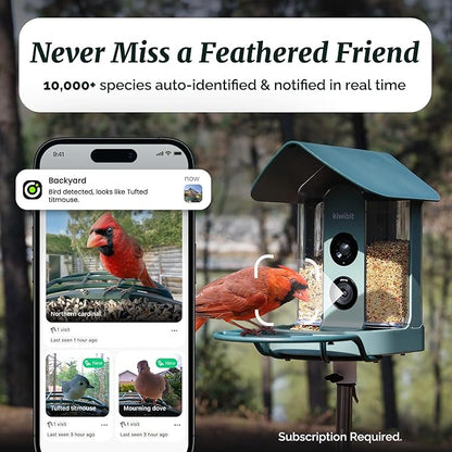 Beako™ Smart Bird Feeder with 4K Camera Solar Powered for Outdoors - UHD Live Stream for Birdwatching, AI Identification 10,000+ Bird Species, Real-Time Motion Detection, Ideal Gift for BirdLovers