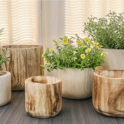 CYS EXCEL 11'' Natural Cylinder Planter Lightweight Natural Wood Cachepot for Indoor Plants, Succulents, Herbs, Home & Office Decor