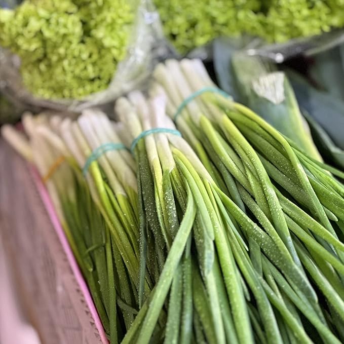 Organic Onion Seeds (Bunching Evergreen) - Approx 200 Seeds - USDA Organic, Non-GMO, Open Pollinated, Heirloom, USA Origin (Pack of 2)