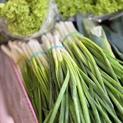 Organic Onion Seeds (Bunching Evergreen) - Approx 200 Seeds - USDA Organic, Non-GMO, Open Pollinated, Heirloom, USA Origin