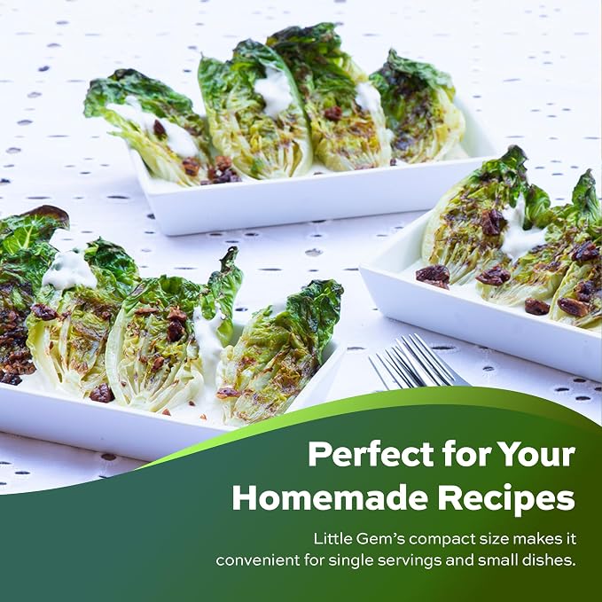 1000+ Little Gem Lettuce Seeds - Heirloom Non-GMO USA Grown - Grows Adorable Mini Romaine Lettuce Heads About 6" Tall - Vegetable Seeds for Planting