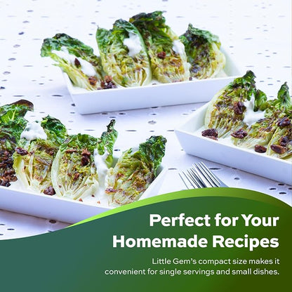 1000+ Little Gem Lettuce Seeds - Heirloom Non-GMO USA Grown - Grows Adorable Mini Romaine Lettuce Heads About 6" Tall - Vegetable Seeds for Planting