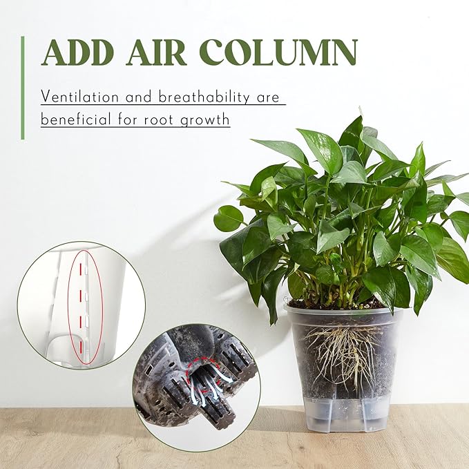 Wonderjune Self Watering Pots for Indoor Plants with Deep Reservoir and High Drainage Holes for Outdoor Plants and Flowers, Bare Root Planter(4.72'', 5.91'', 7.09'',Clear,6 Pcs)