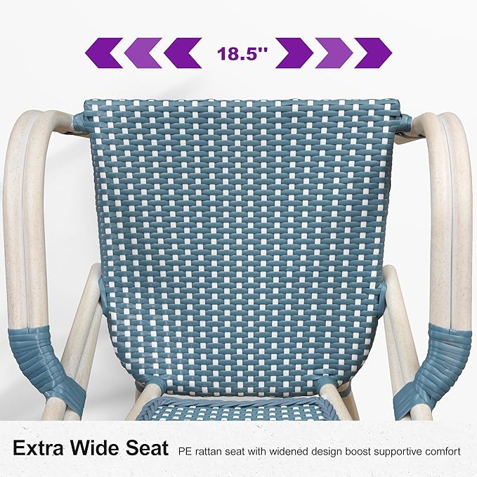 PURPLE LEAF French Bistro Chairs Set of 2 Hand-Woven Wicker Armchairs Outdoor Dining Chairs for Kitchen Porch Garden White Print Finish Light Blue