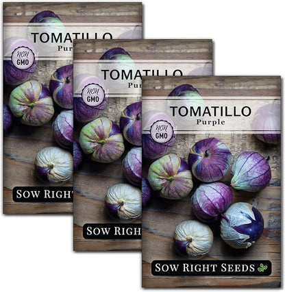 Sow Right Seeds - Purple Tomatillo Seeds for Planting - Non-GMO Heirloom Packet with Instructions to Plant an Outdoor Home Vegetable Garden - Mexican Husk Tomato - Ground Cherries Great for Salsa (3)
