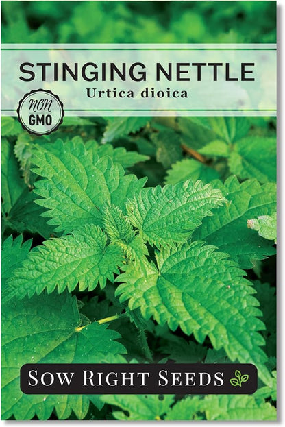 Sow Right Seeds - Stinging Nettle Seeds for Planting - Urtica Dioica - Non-GMO Heirloom Variety - Herb for Medicinal Tea & Salads - Easy to Grow Indoor/Outdoor - Gardening Benefits & More (1)