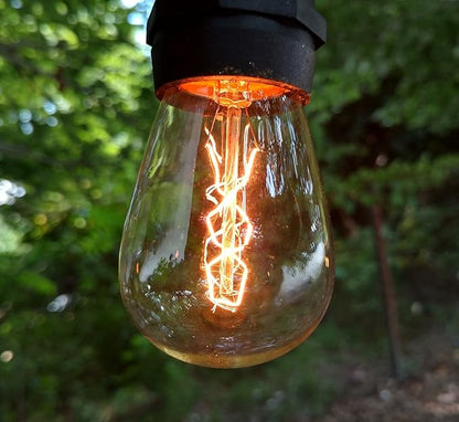Hometown Evolution, Inc. E26 Outdoor Commercial String Lights with Suspended Socket for Weatherproof Heavy Duty Vintage Outside Lighting (S14 Zig Zag Edison 11 Watt Bulbs, 100 Foot 50 Socket)