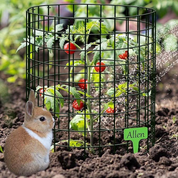 30Pcs Plant Protector from Animals: 10 Pack Metal Mesh Plant Cages to Keep Animals Out - Garden Protection Bunny Barricades from Chicken Squirrels Rabbits for Flowers Vegetables