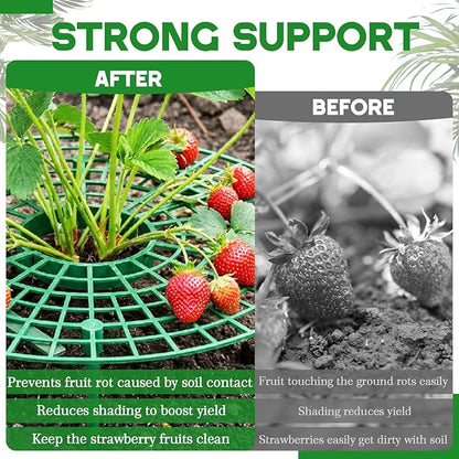1 Sets Round Strawberry Plant Support with Mesh Plant Cover, Strawberry Growing Kit with Iron Nails for Garden Vegetables Keep Berries Clean