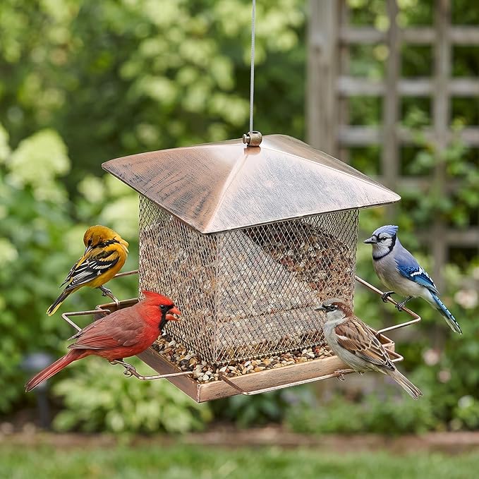 Bird Feeder, Heavy Duty Metal Bird Feeders for Outdoor Hanging, Waterproof Wild Birdfeeder for Garden Yard Outside Backyard, 3.5LB Large Capacity