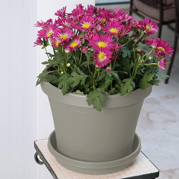 Bloem Terra Resin Saucer Tray: 4.75" Bottom Width - Pebble Stone Beige - Matte, Durable, Ribbed Bottom, Indoor and Outdoor, Fits 6" Terra Pots