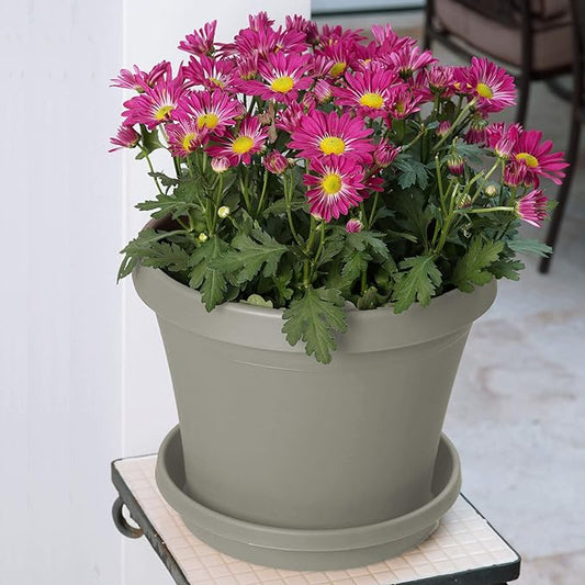 Bloem Terra Resin Saucer Tray: 4.75" Bottom Width - Pebble Stone Beige - Matte, Durable, Ribbed Bottom, Indoor and Outdoor, Fits 6" Terra Pots