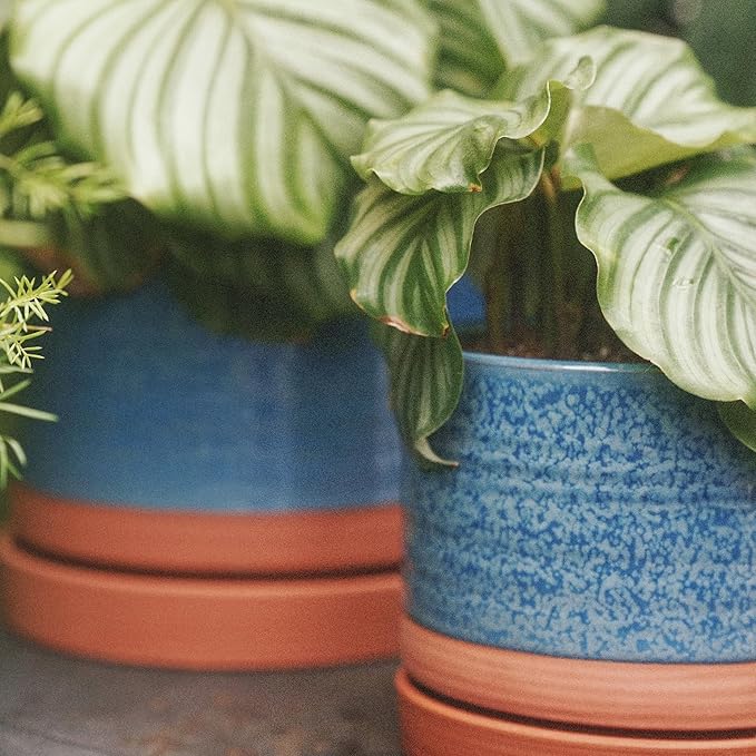 HERDUK 8 Inch Pots for Plants, Ceramic Planter Pot with Drainage Hole & Saucer, Indoor/Outdoor Cylinder Round Planter Pot, Blue & Terracotta