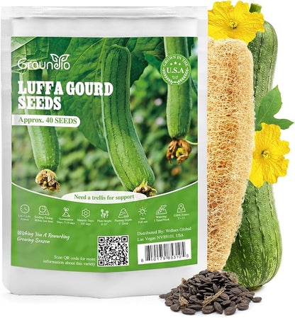 Groundio 40+ Luffa Seeds – Non-GMO Heirloom Loofah Sponge Gourd Seed, Edible & Natural Sponge, Home Garden Outdoor Planting (Luffa aegyptiaca)