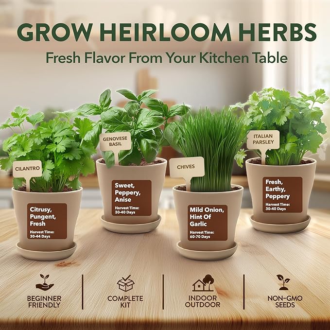 HOME GROWN Herb Garden Planter Indoor Kit – Unique Christmas Gift for Adults, Men, & Women - Grow 4 Heirloom Herb Seeds on Kitchen Window – Beginner DIY Craft & Hobby Gardening Gift for Plant Lovers