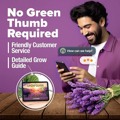 HOME GROWN English Lavender Seeds 2 Pack 3000 Non GMO Wildflower Seed, for Planting Indoor Outdoor High Germination Flower Seeds (Lavandula antustifolia)