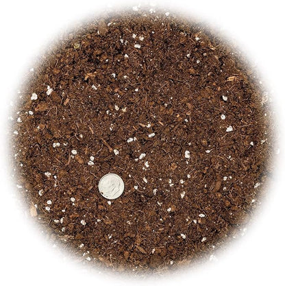 GARDENERA Premium Snake Plant Potting Soil Mix - 10 Quart - Green Sansevieria Trifascatia Zeylanica Plants, Plant or Re-Pot Your Snake Plant (2 Bags of 5 Quart)
