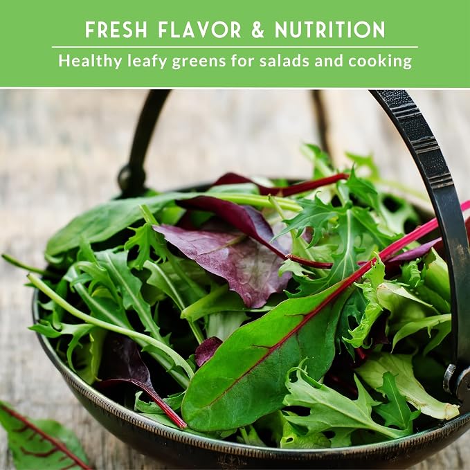 Leafy Greens Seeds Variety Pack – 5 Heirlooms: Viroflay Spinach, Arugula, Lacinato Kale, Salad Bowl Lettuce & Rainbow Swiss Chard – Cool Season Garden Collection - Survival Garden Seeds