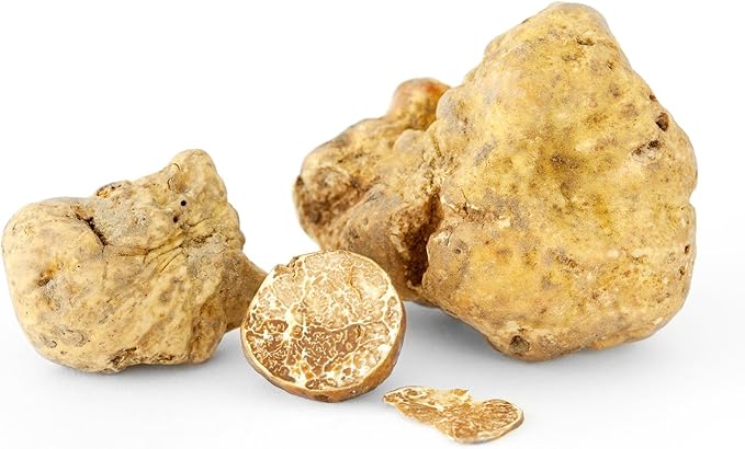 White Truffle Mushrooms Non GMO for Planting Mycelium Spawn Spores
