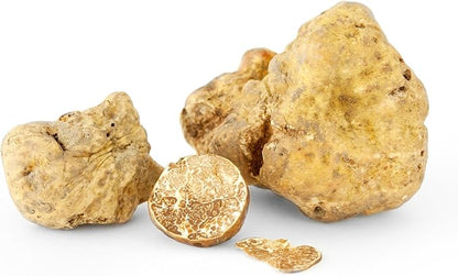 White Truffle Mushrooms Non GMO for Planting Mycelium Spawn Spores