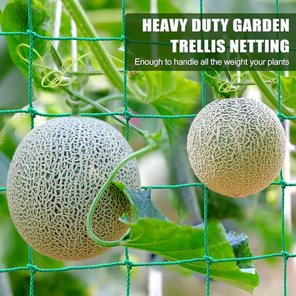 Trellis Netting, Heavy Duty Garden Netting for Trellis for Climbing Plants Outdoor, 9.85x6.6Ft Plant Netting for Cucumber, Tomato, 27 Strands & 4x4 in Mesh, Grow Net for Vine,Fruits, Vegetables, Bean