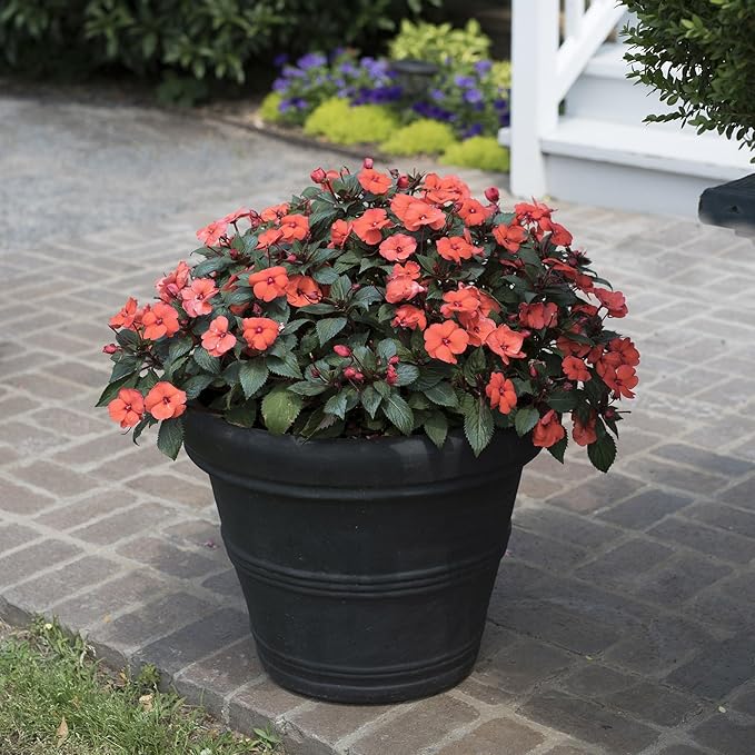 Crescent Garden Brunello Small Classic Black Planter, Indoor/Outdoor Weather-Safe Round Plant Pot, Small Resin Houseplant Pot for Patio, Porch, Garden - 12'' W (Black)