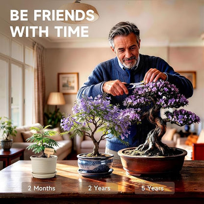 Bonsai Tree Starter Kit, Jacaranda Bonzai Kit, Indoor Bonsai Trees Plant Seeds with Drainage Design Pots, Gardening Gifts for Women, High-Value Plant Gifts