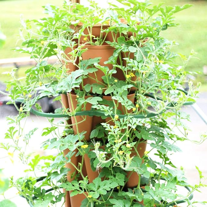 Greenstalk Set of 3 Plant Supports for Growing Tomatoes, Cucumbers, Peppers, Eggplant, and Squash Vertically in a Vertical Planter