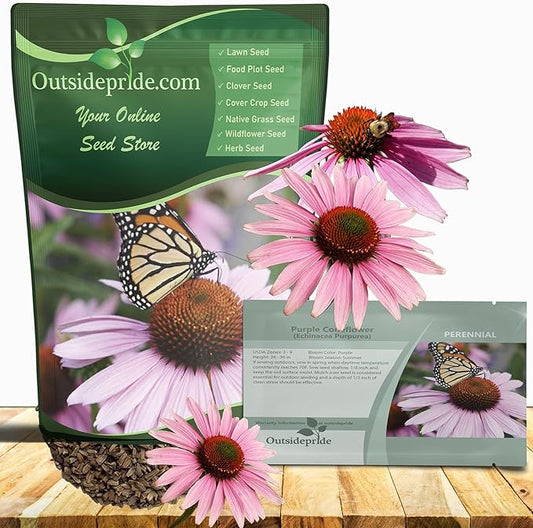 Outsidepride Purple Echinacea Coneflower Seeds - 1/4 lb Perennial, Deer-Proof & Drought Tolerant Flower Seeds with Daisy-Like Blooms for Pollinator-Friendly Gardens, Borders, & Meadows
