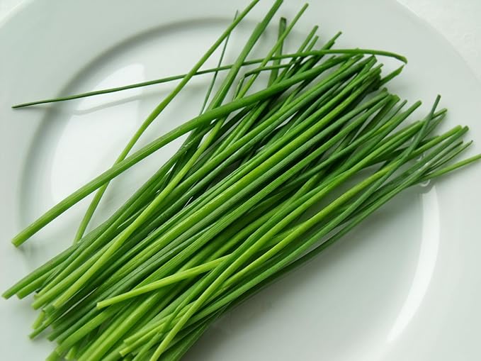 Seeds Chives Onion (Garlic Scapes) Green Non GMO Vegetable for Planting
