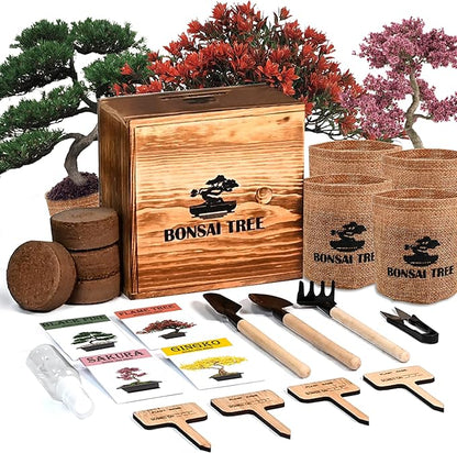 Bonsai Garden Starter Kit, 4 Seeds Growing into Sakura, Ginkgo, Black Pine, Red Flame, Including Complete Gardening Tools & A Planter Box with Cover for Men Women Beginners