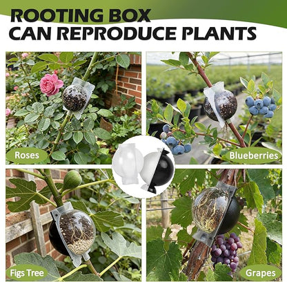 Tree Root Growing Box, Air Layering Pods Propagation Kit, Reusable Half Transparent Plants Asexual Reproduction Grafting Ball with Zip Ties for Fast Propagation Plants (6pcs Small + 6pcs Meidum)