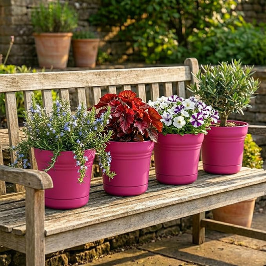 Bloem Saturn 5" Fuchsia Round Resin Planter Pot with Snap-in Saucer for Indoor and Outdoor Gardening, 4-Pack