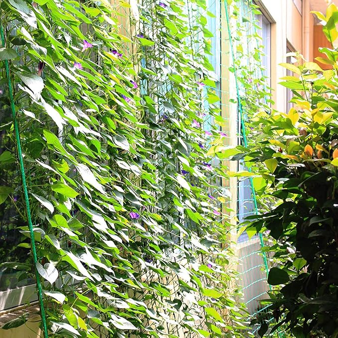 2Pack 5.9Ft x 8.86Ft Garden Plant Trellis Plant Climbing Net Nylon Garden Netting for Cucumber, Vine, Fruits, Vegetables Tomato Climbing Vining