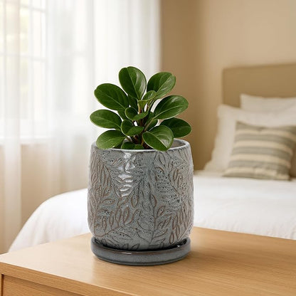 D'vine Dev 4 Inch Embossed Leaves Stoneware Planter Pot with Drainage Hole and Saucer, Graphite Blue, 27-A-Z-9