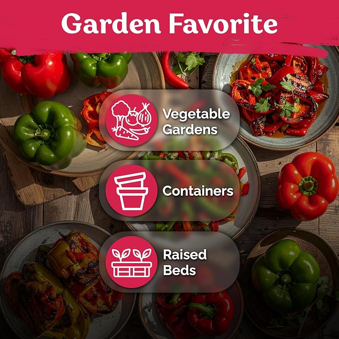 KVITER 150 California Wonder Sweet Pepper Seeds (Capsicum Annuum) - Cal Wonder, Mild Flavor, Heirloom, Non GMO Seed - Vegetable Seeds in Seed Packets for Outdoor Gardens, Containers, Raised Beds