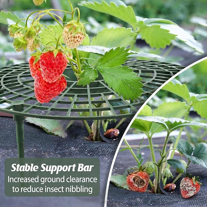 6 Sets Strawberry Plant Support with Mesh Plant Cover,Strawberry Growing Racks Sets with Iron Plant Nails and Storage Bag for Garden Strawberry Vegetables(Green Net - Round)