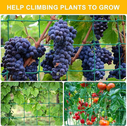 Garden Trellis Netting for Climbing Plants Outdoor, 6.6x16.4 FT Plant Netting for Cucumber, Tomato, 27 Strands Trellis Net with 4x4 Inch Mesh as Vegetable Netting for Grape, Bean, Pond
