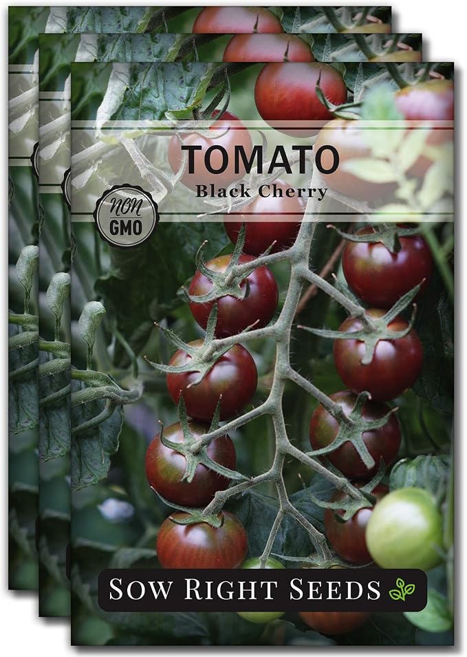 Sow Right Seeds - Black Cherry Tomato Seeds for Planting - Non-GMO Heirloom Packet with Instructions to Plant a Home Vegetable Garden - Tasty Snacking Variety, Start Indoors - Indeterminate (3)