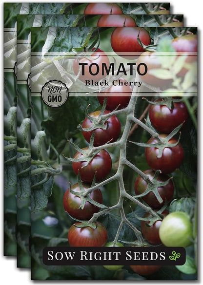 Sow Right Seeds - Black Cherry Tomato Seeds for Planting - Non-GMO Heirloom Packet with Instructions to Plant a Home Vegetable Garden - Tasty Snacking Variety, Start Indoors - Indeterminate (3)