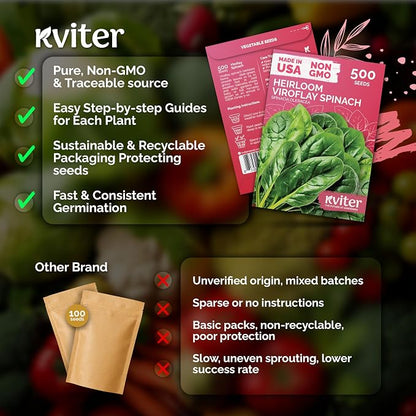 KVITER 500 Viroflay Spinach Seeds (Spinacia Oleracea) - Cold Tolerant Spinach, Fast Growing Heirloom Seed, Non GMO Seed Packets - Vegetable Seeds for Outdoors, Home Garden, Raised Beds
