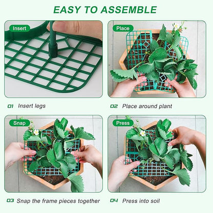 Strawberry Plant Support, 10 Pack, Raised Grid Stand to Keep Strawberries Off the Ground, Strawberry Holder for Garden Beds, Raised Planters & Pots (Square)