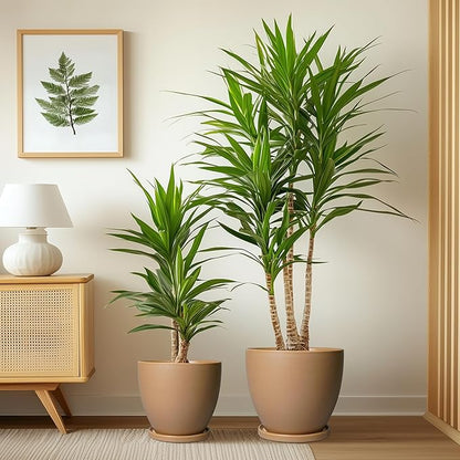 Ceramic Pots for Plants Set of 3-10+8+6 Inch Modern Round Planters with Drainage Holes and Plant Saucers, Flower Pots for Indoor Outdoor, Home Garden Room Decor, Plant Lover Gifts, Brown