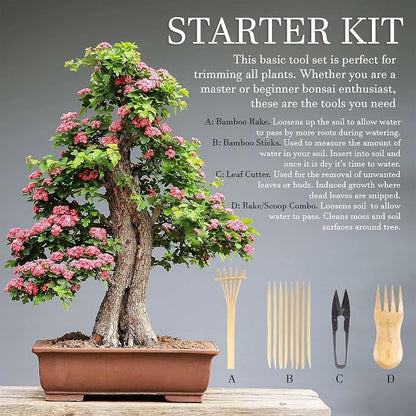 BambooMN Bonsai Tree Pruning Trimming Starter Tool Kit - Leaf Trimmers, and Bamboo Rake - 10 Sets
