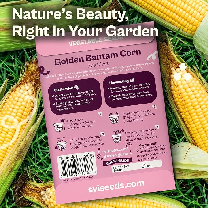SVI 80 Golden Bantam Sweet Corn Seeds (Zea mays) – Yellow Sweet Corn Seed Packets Non GMO – Fast Growing Heirloom Vegetable Seeds, Outdoor Vegetable Garden & Home Garden